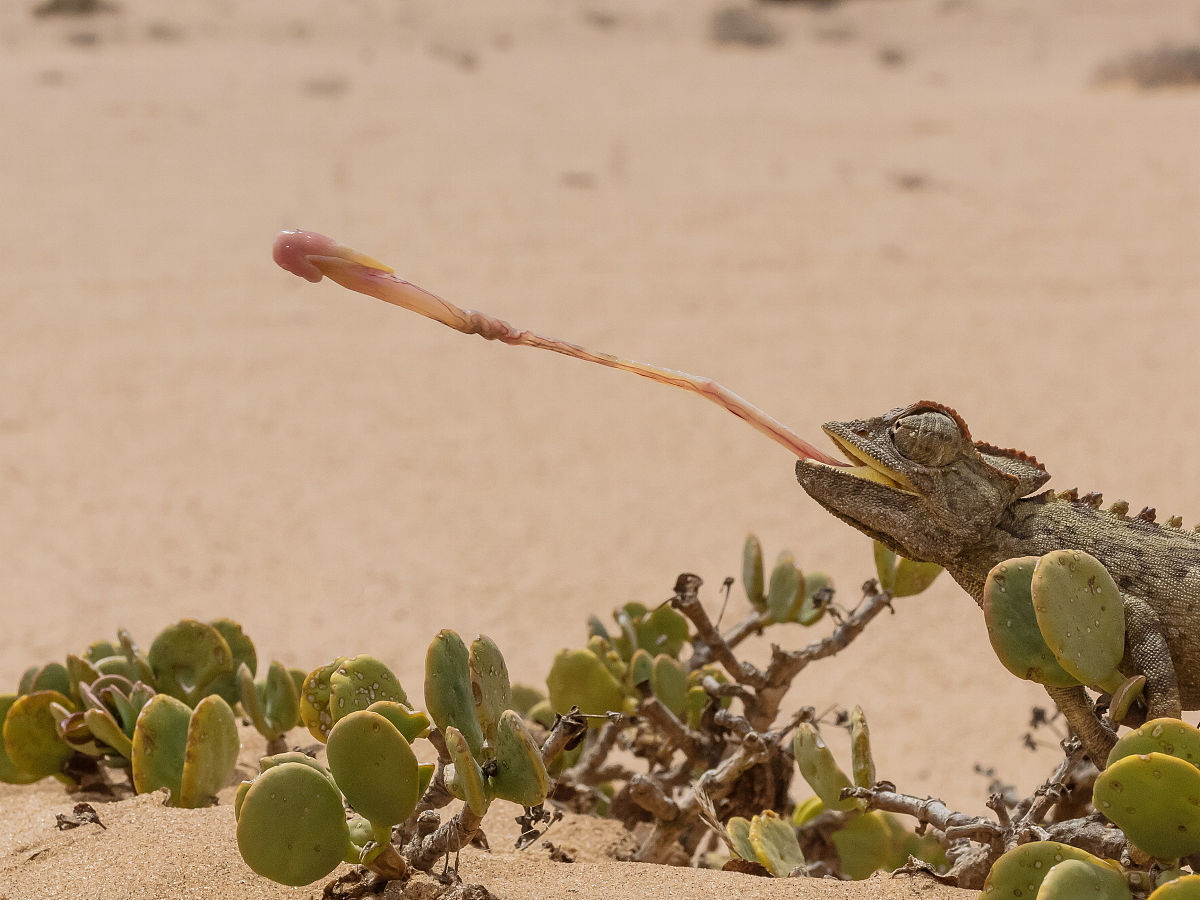 技能提升：后期处理让你的照片脱颖而出