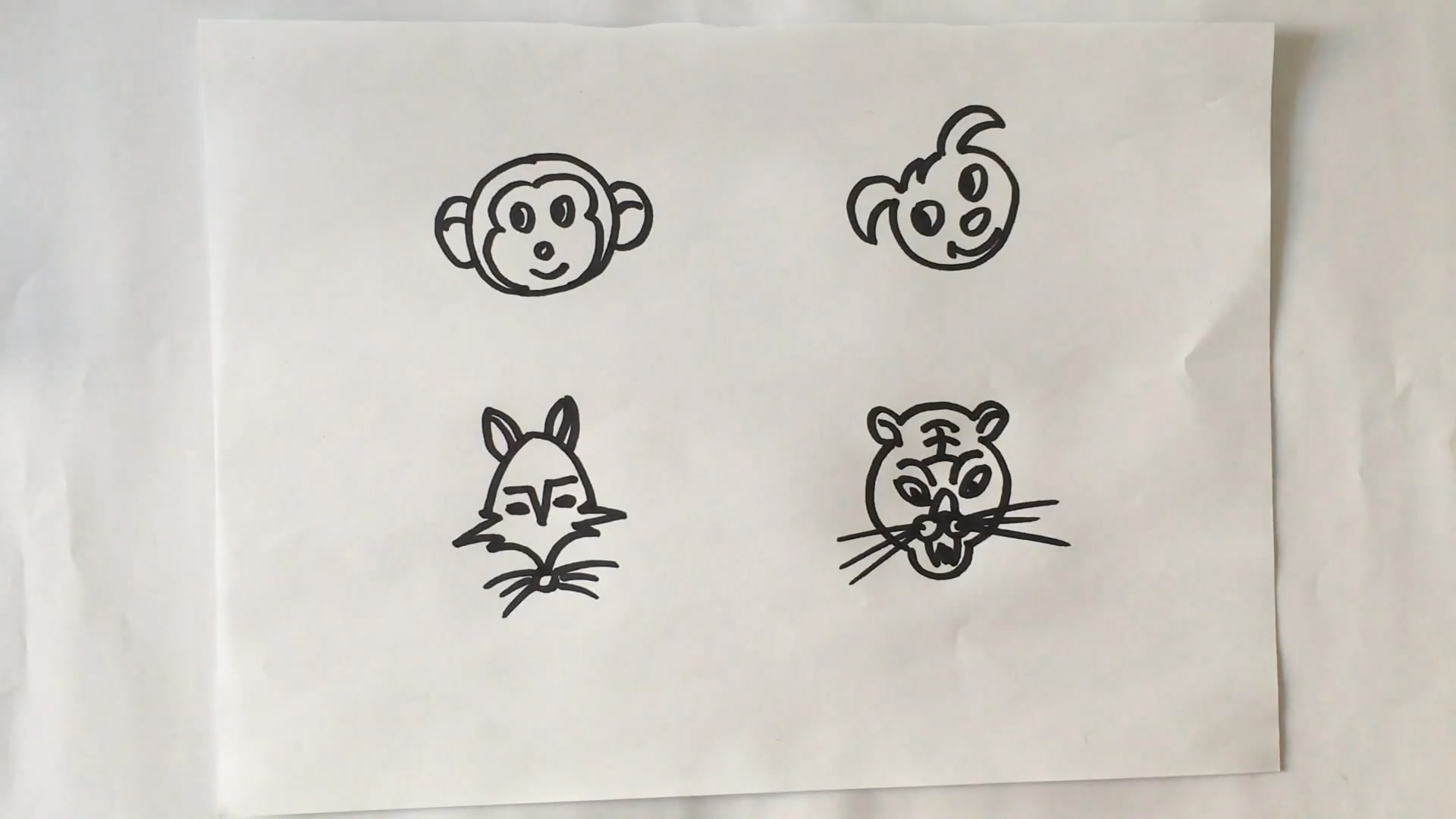 教孩子们画简笔画动物头像的快速画法,儿童启蒙好帮手哦