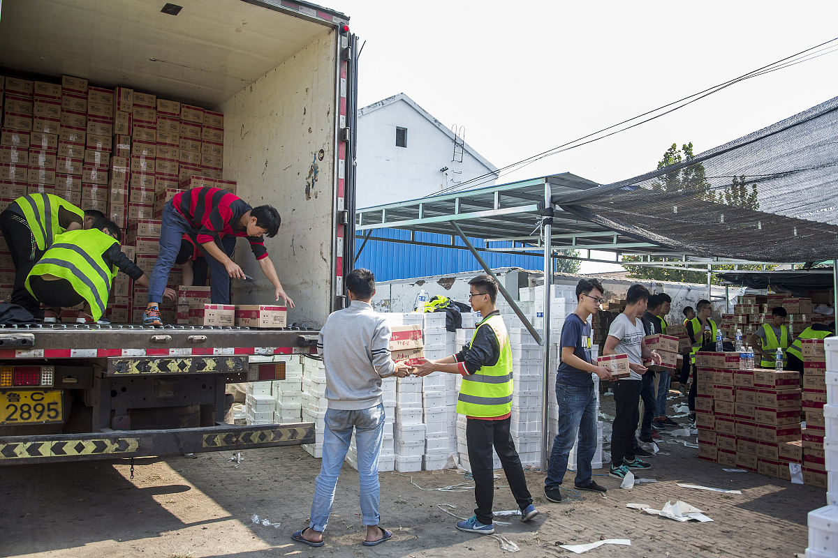 国投公司菌业公司对台风‘杜苏芮’防汛工作检讨