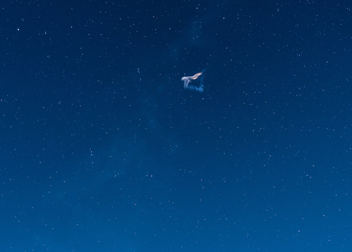 相机帧率：FPS解释，重要性及应用 - 详细指南