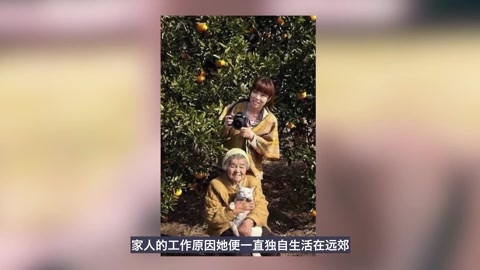 [图]猫咪陪86岁的奶奶生活,日常相处画面,让孙女觉得比电影还经典