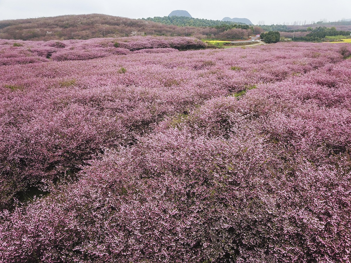 带埋字的网名大全：文艺、个性、有深意