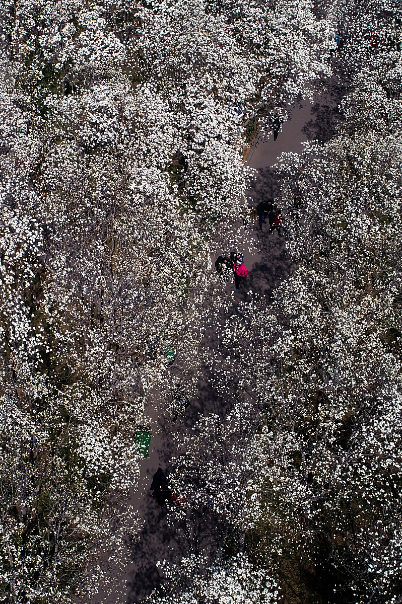 为什么谷歌地球更新时间都不是最新的？