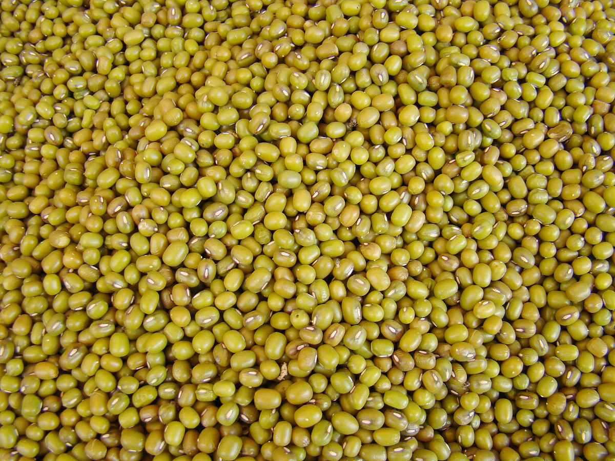 你是一位食品卫生与营养学的本科生现在你需要写一篇与豆类加工相关的综述论文要求写出目前豆类加工的进展与未来发展方向正文字数1500~2500字要有参考文献