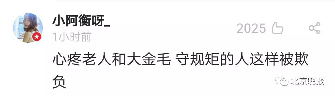 令人震惊!打死金毛犬被刑拘什么情况?详情始末曝光什么怨竟下此狠手