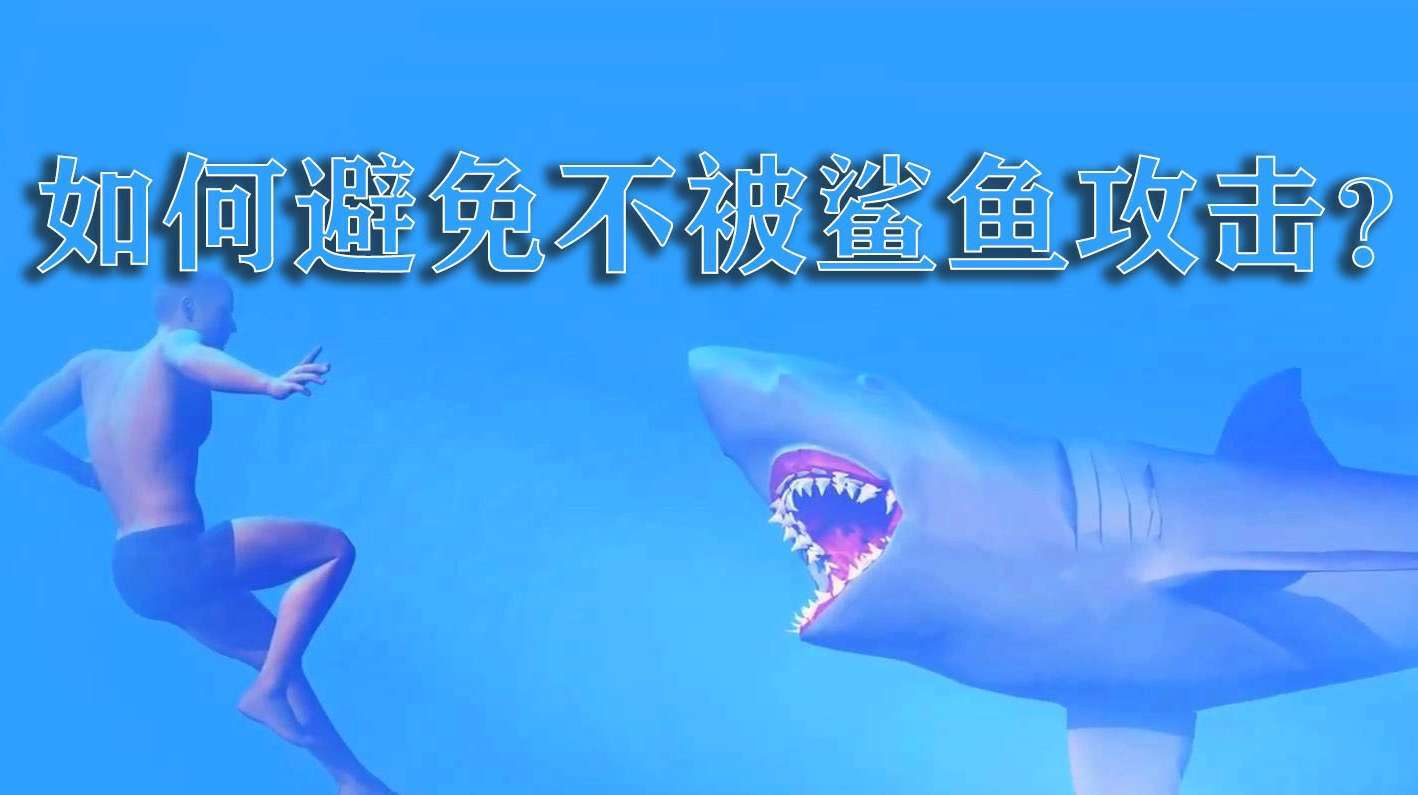 喜欢在海里游泳的请注意!这些行为可能会导致鲨鱼对你发起攻击!