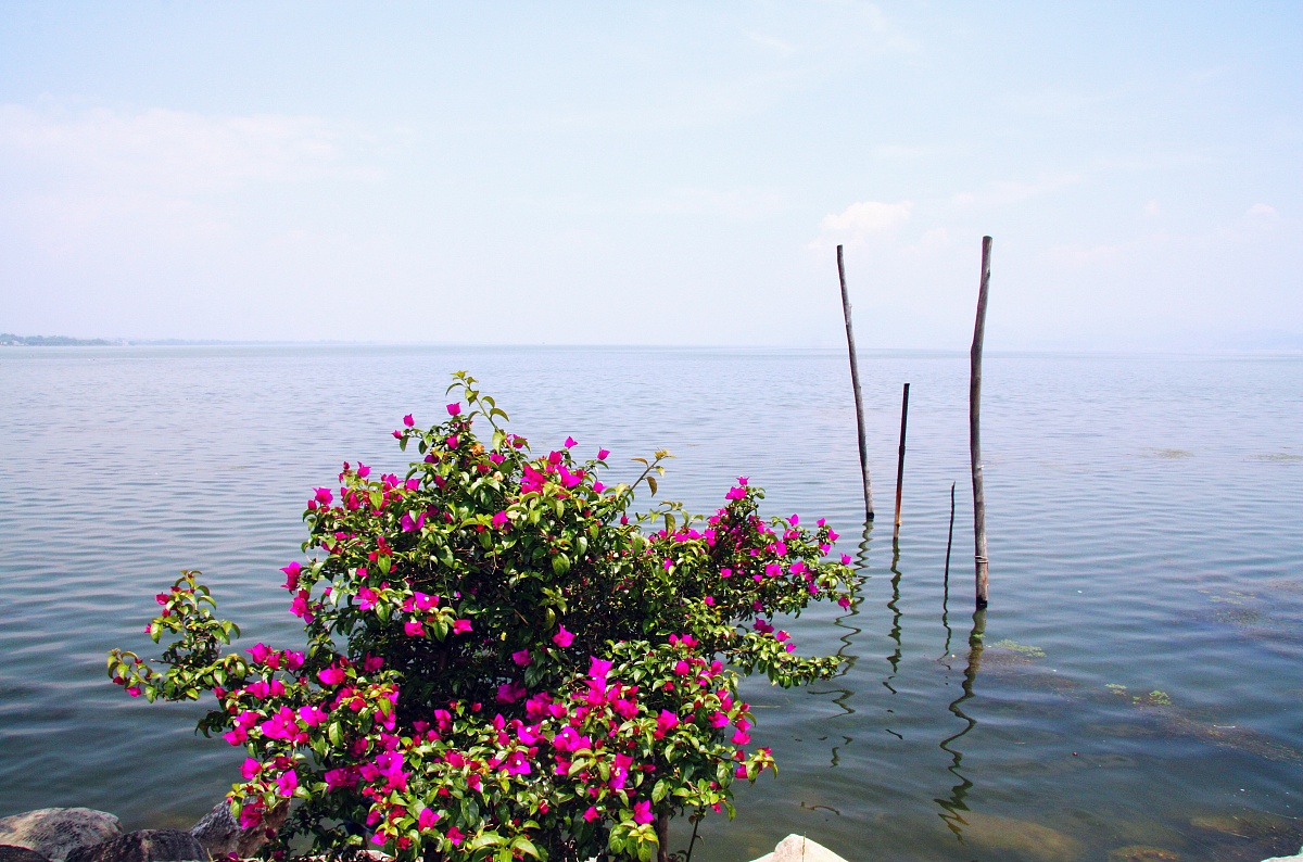 云南,大理白族自治州,洱海风景.***_***