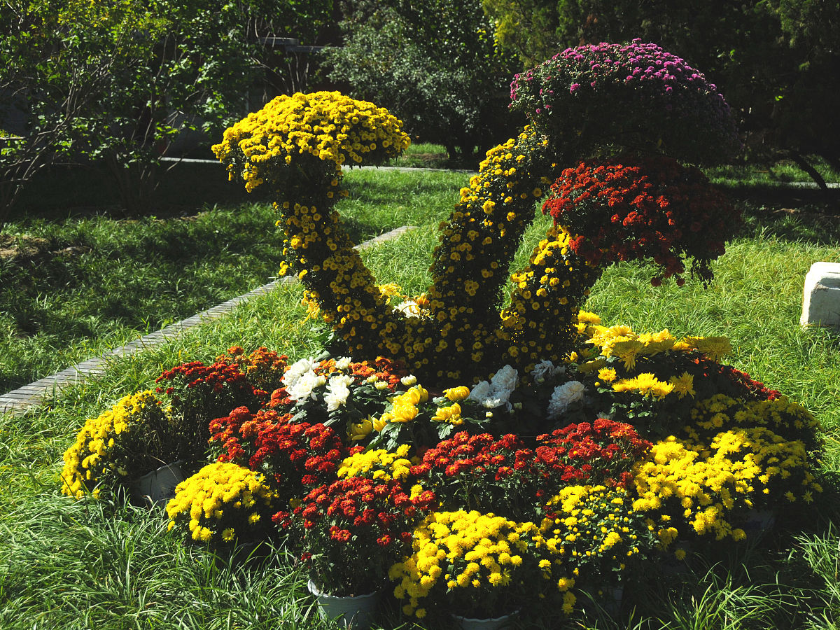 小月有哪些月份？ - 详解 2 月、4 月、6 月、9 月、11 月