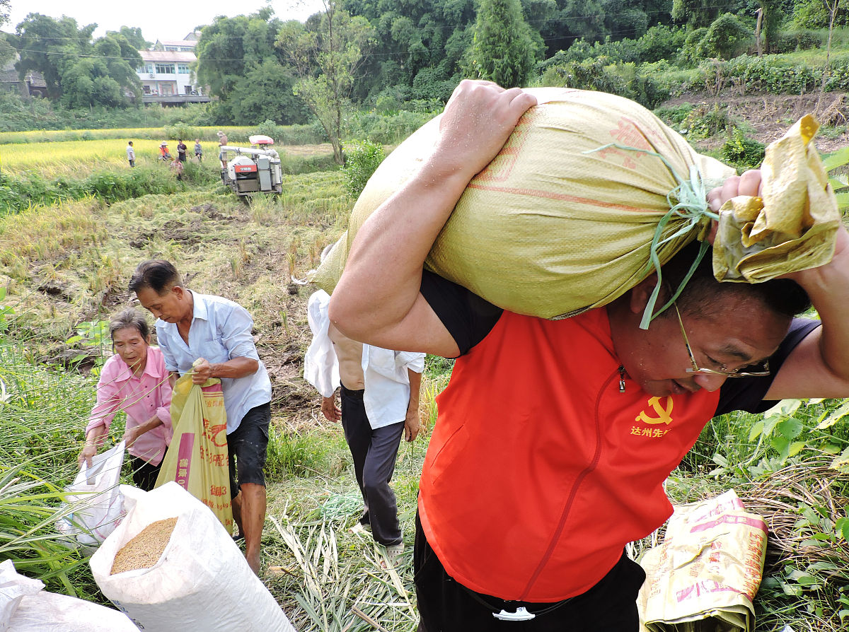 达州中专学校算什么学历