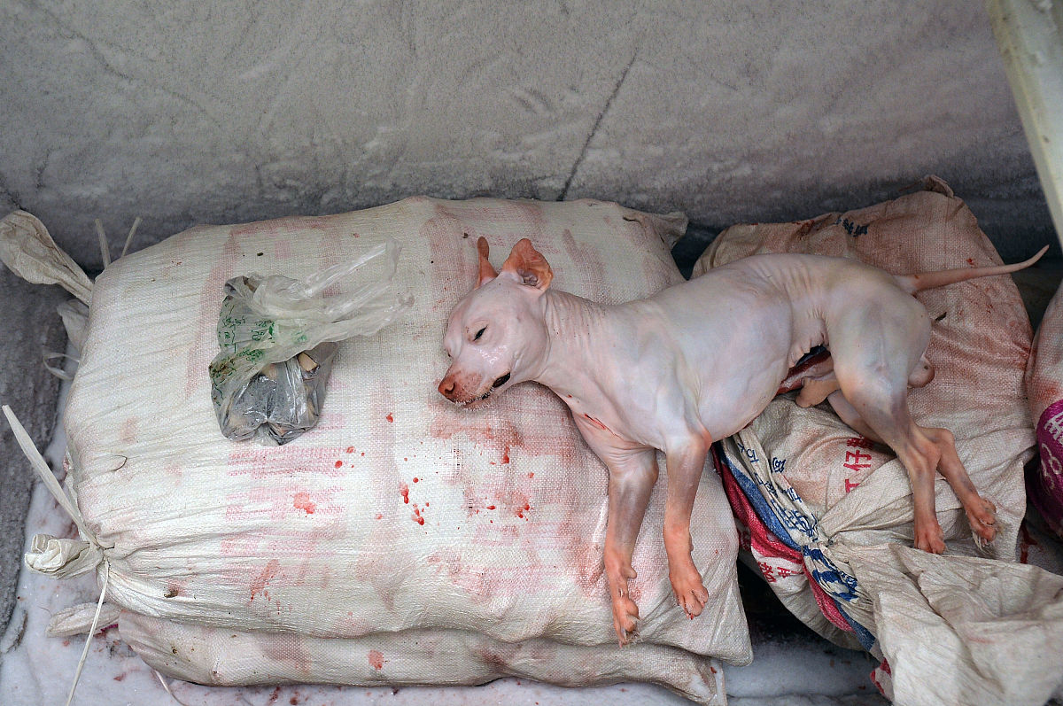 黄平中等职业技术学校2022年招生简章：报名时间、专业、联系方式