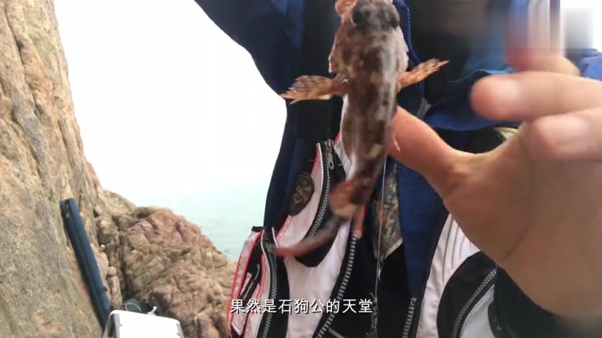 [图]海钓高桥大师小三门钓石狗公石斑 详细介绍钓组诱饵钓法新手福音