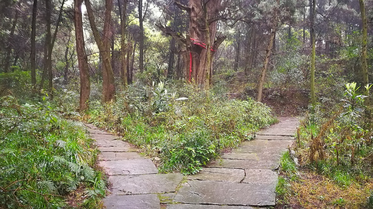 黑龙江省林业卫生学校2023年招生专业：森林资源保护、生态环境、经济管理等