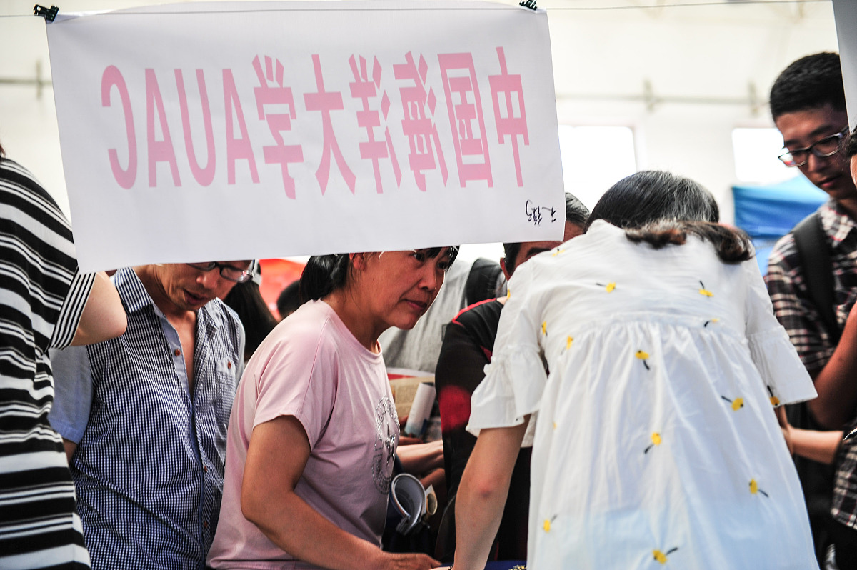 中职升本录取分数线查询：解读影响因素及查询途径