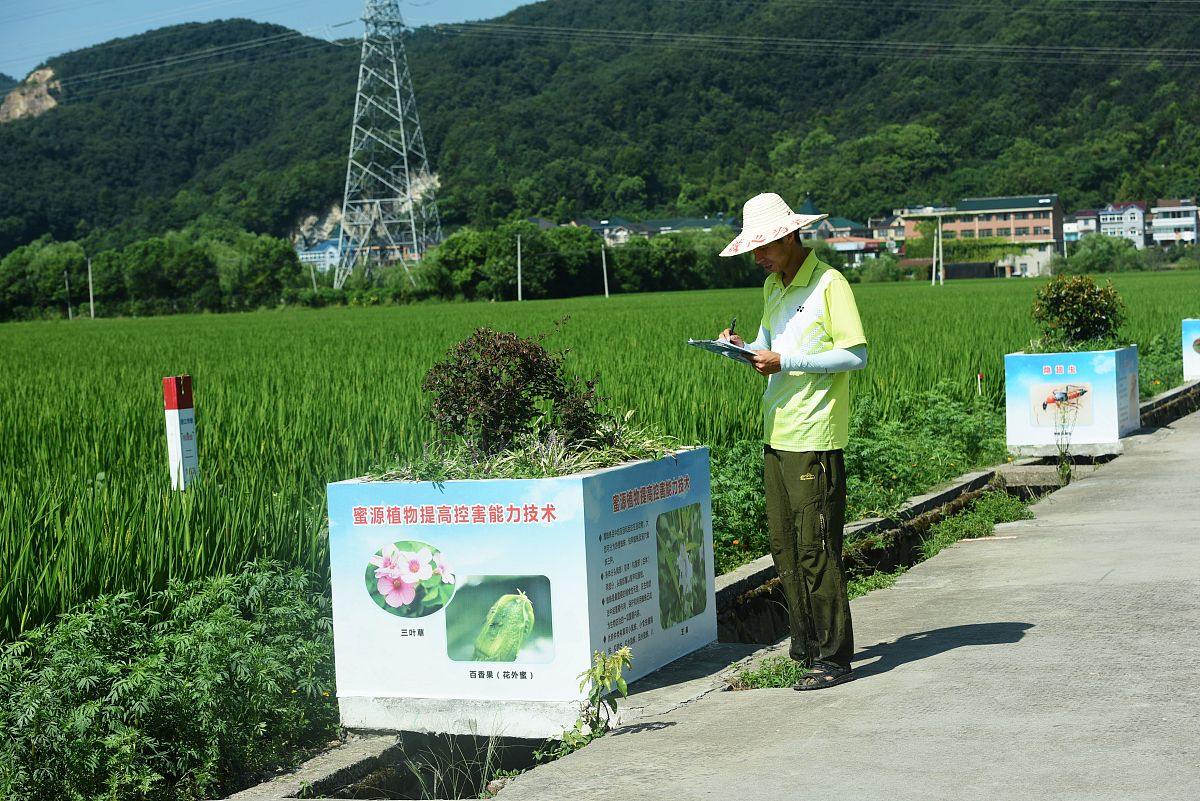 绿色储粮项目方案 - 提升粮食品质，保障安全