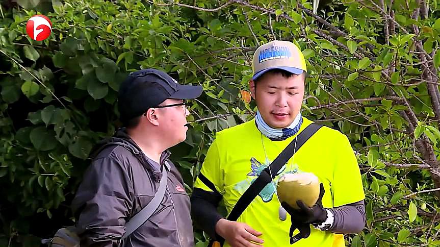 [图]我们的征途:大家都在忙着干活,杜海涛和郝劭文却在一旁偷椰子吃