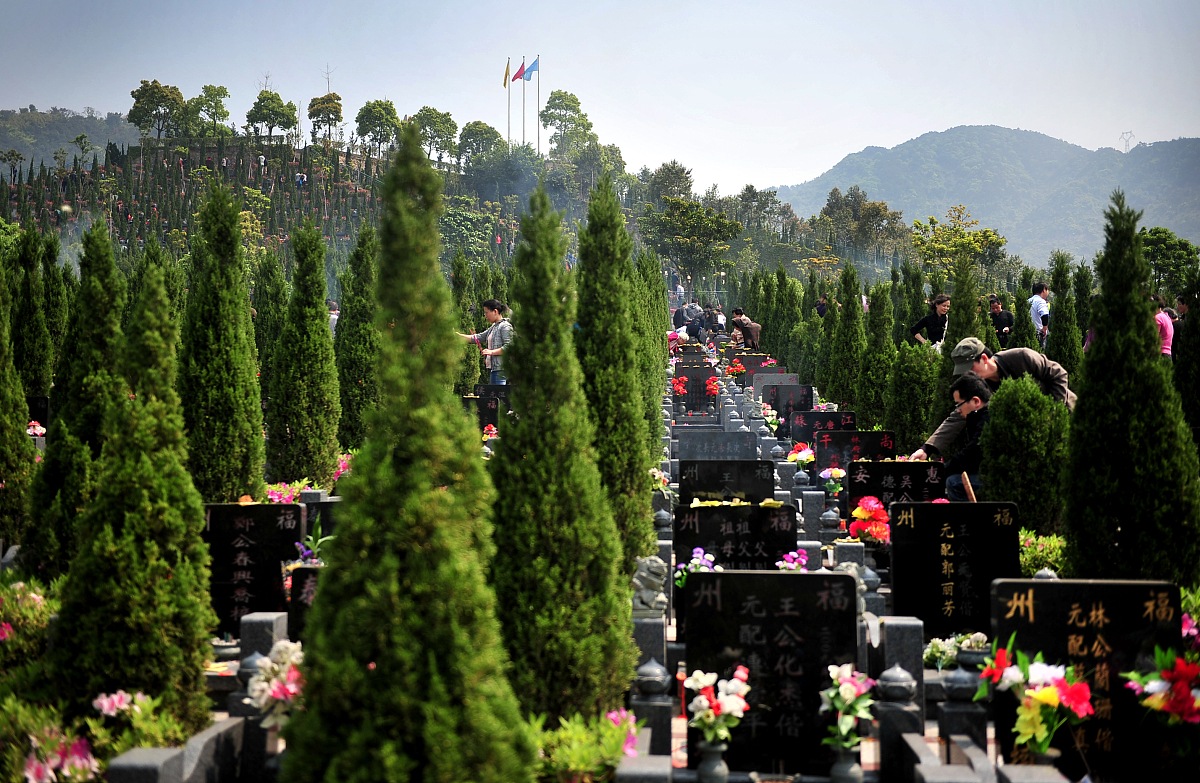 以清明节为主题写一篇绿化公司的党建文章200字