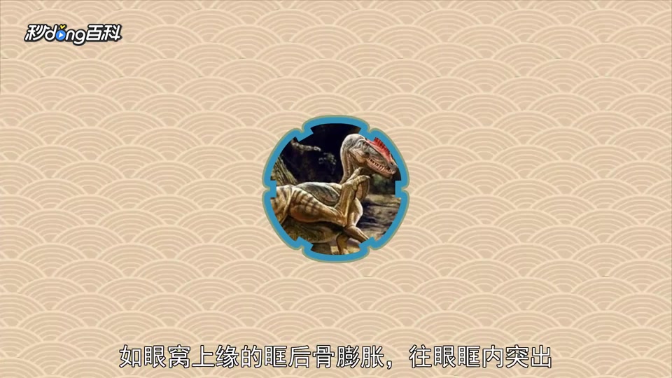 原来肌肉龙长这样