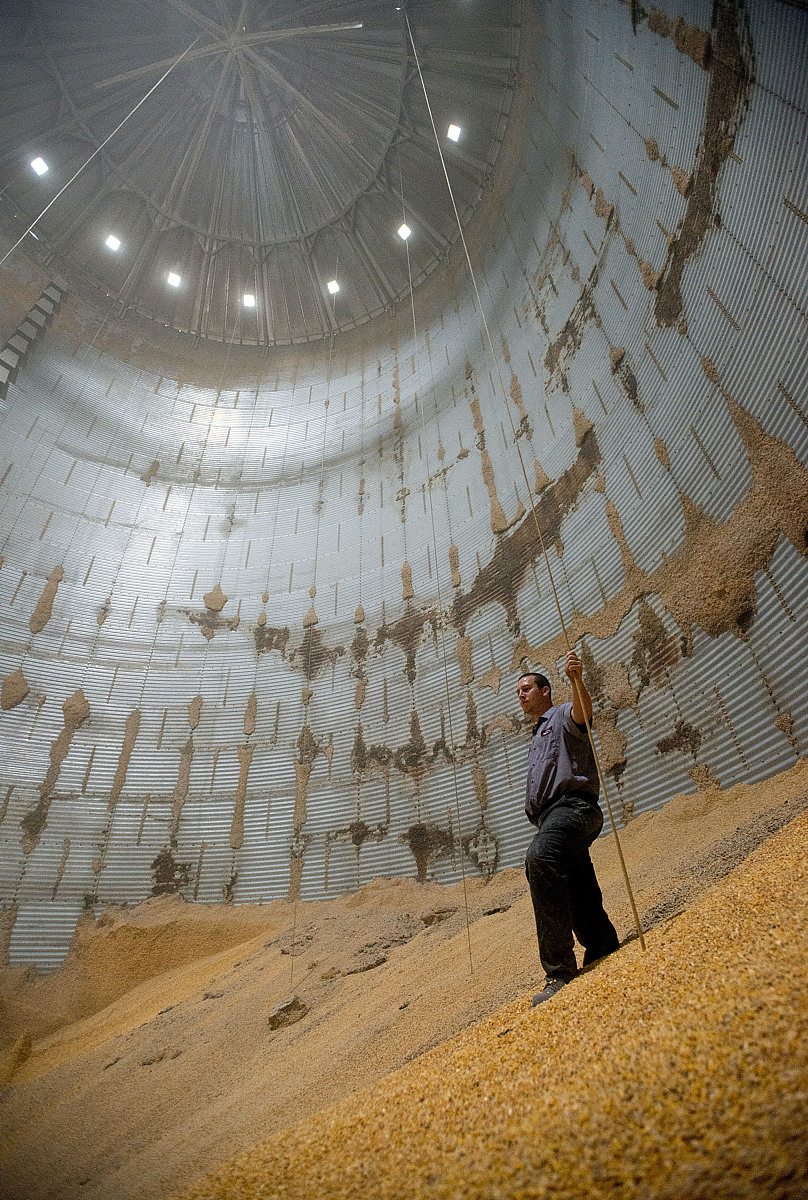 帮我润色但不改变本意：因此亟需明确冬小麦干旱胁迫在不同地区的时空演变特征及对产量的影响。