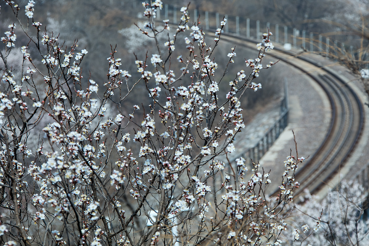 请为我写一篇能吸引人的小红书文本