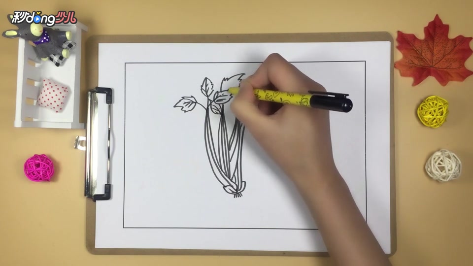 「手工」简笔画芹菜 简单好学