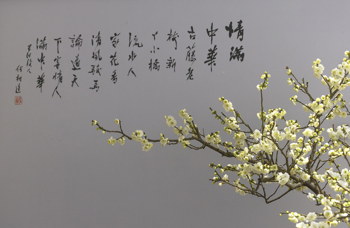 请你以《咏梅》为题创作一首七言绝句赞美梅花傲雪凌霜的品质。要求对仗工整。