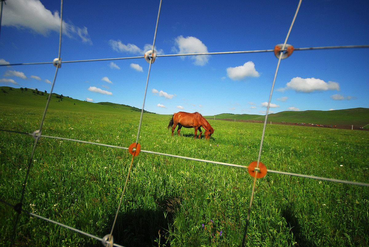 扮演一名旅游博主写篇500字 用脚步去丈量世界用眼睛去记录风景。的短视频治愈文案
