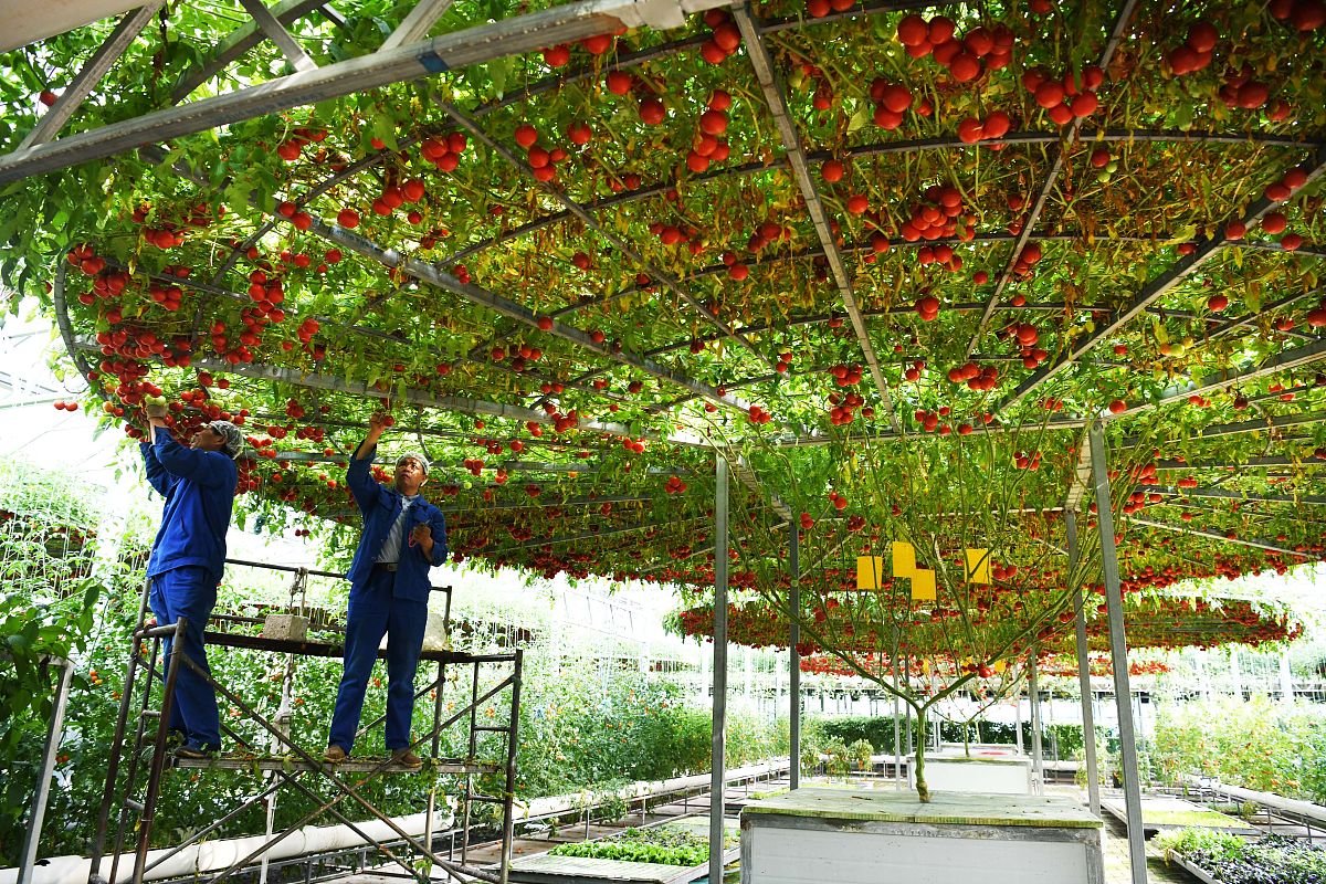 潍坊科技职业学院中专部计算机专业怎么样？学习体验及就业前景分析