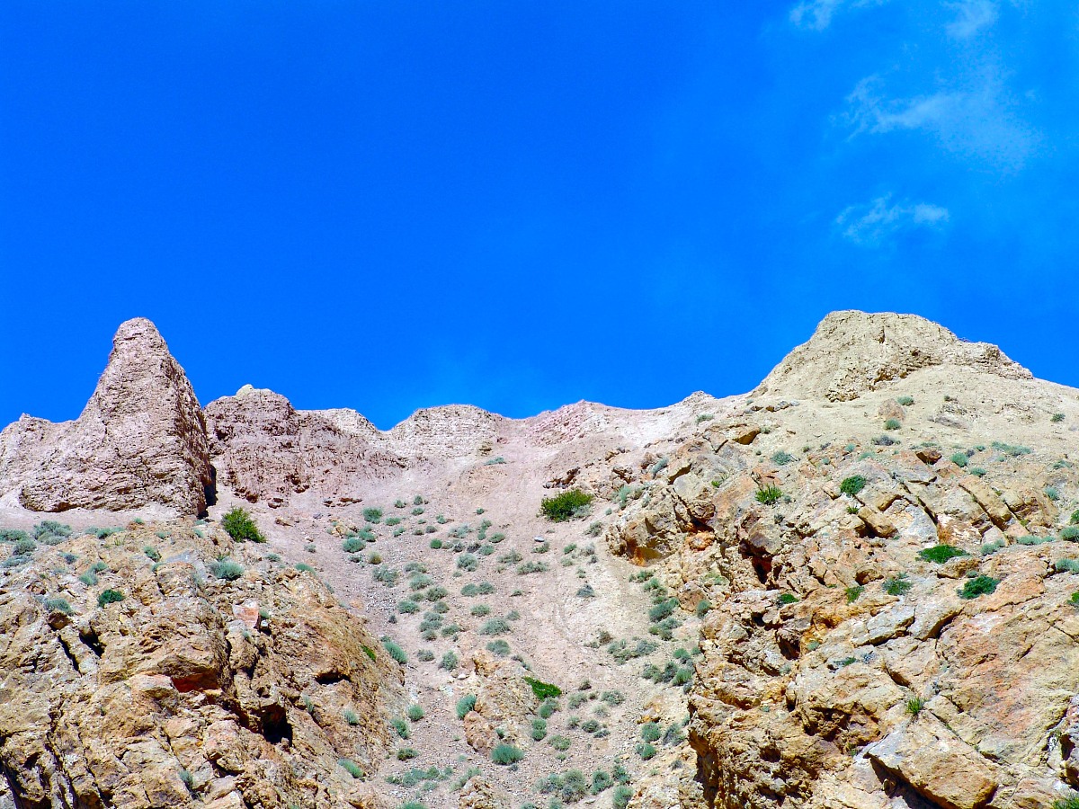 评审工程师取证费是什么？如何收费？