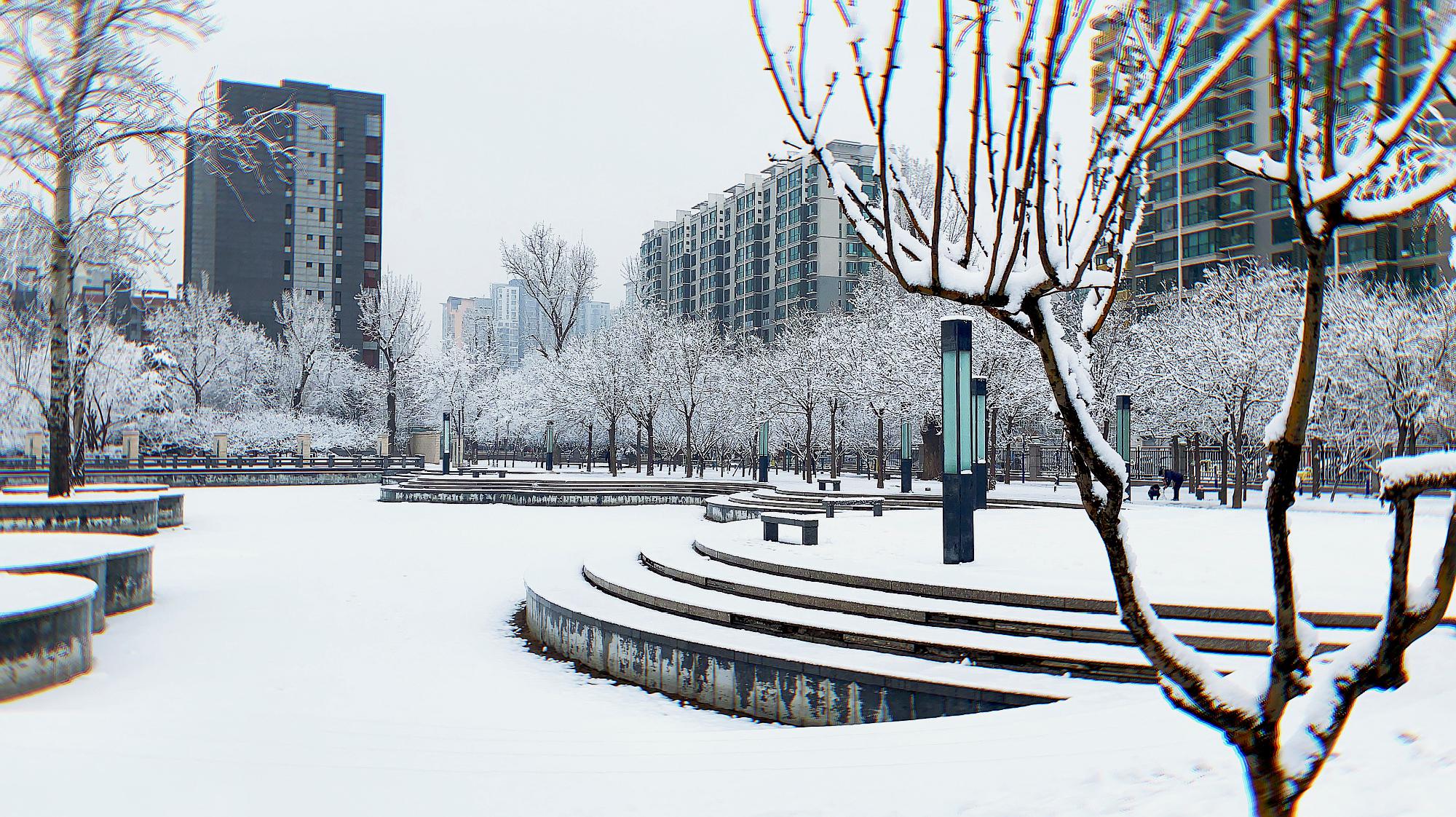 [图]2020年的第一场雪,小寒时节一场大雪 北京就变成了北平!美如画