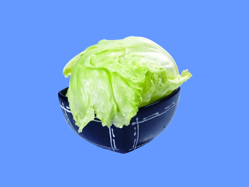 西生菜:含有的干扰素诱生剂和原儿茶酸可提高人体免疫力