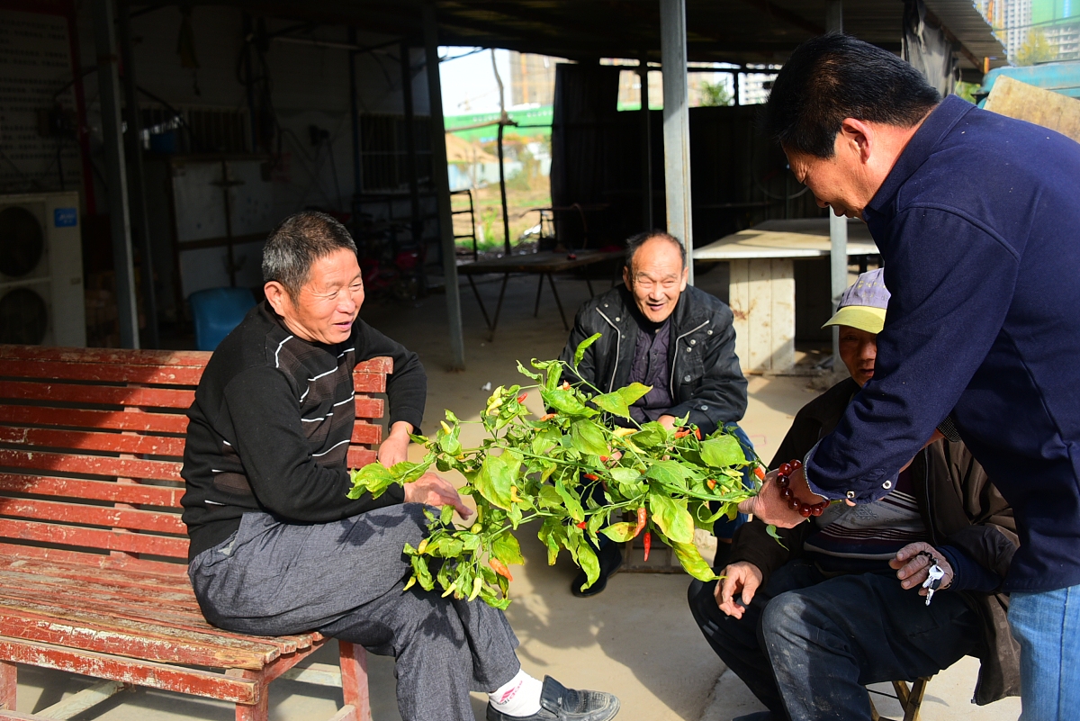 新能源行业实习报告：发展趋势与挑战分析