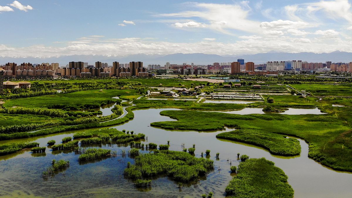 兰州市自然资源保护方案：从环境教育到可持续发展