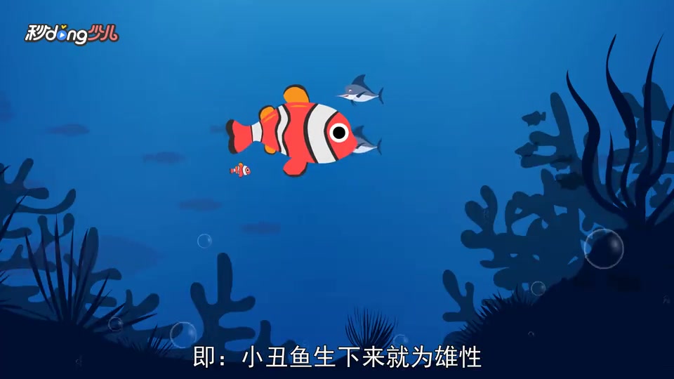 「秒懂少儿」盘点三大雌雄同体的动物