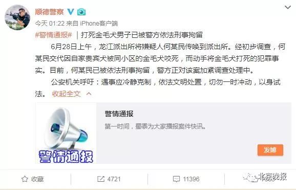 令人震惊!打死金毛犬被刑拘什么情况?详情始末曝光什么怨竟下此狠手