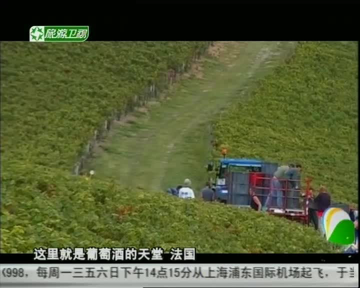葡萄酒的天堂,世界十大葡萄酒的庄园有一半都来自法国
