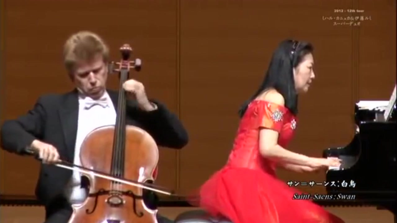 大提琴演奏《天鹅》,圣桑的名曲,旋律优美,扣人心弦!