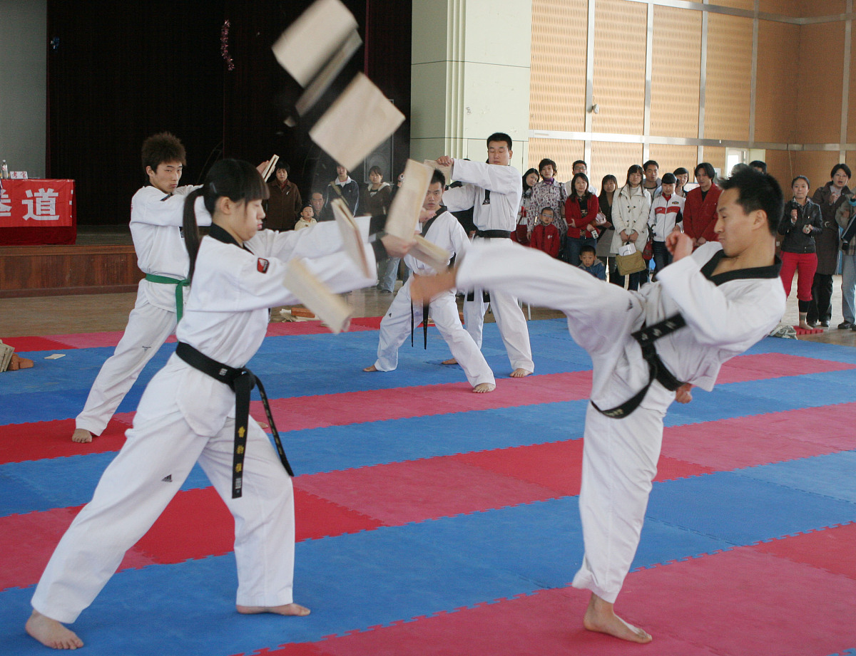 天津体育学院武术与民族传统体育专业怎么样