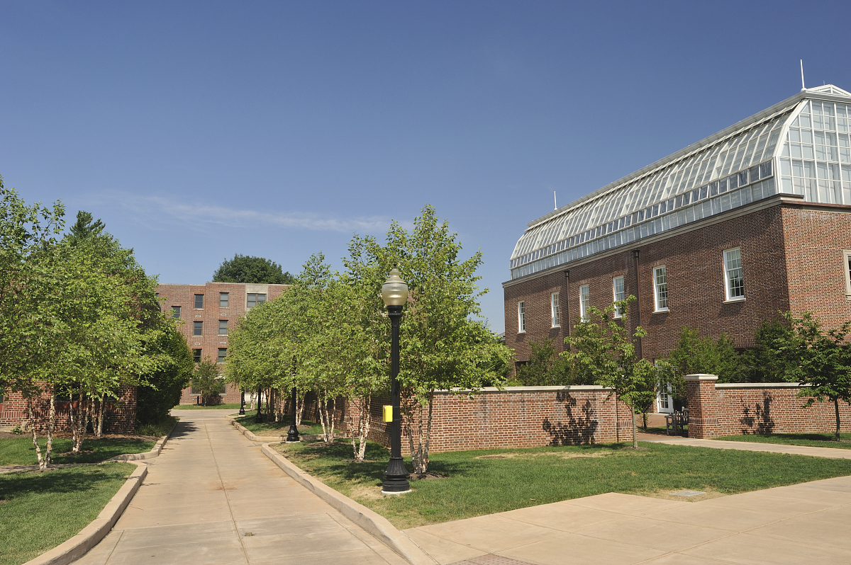 在德州哪里可以学到会计专业？