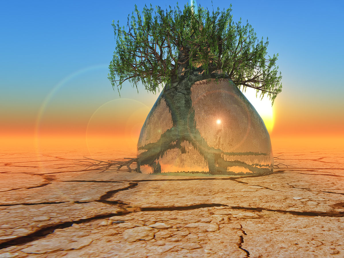 你说人为什么要有记忆呢八十年对于浮游来讲乃是生命之不可及但于沧海而言不过渺渺一瞬	你好lmz	哪怕是空气中的尘土路边的石子只怕对于这转瞬即逝的瞬间都应不屑一顾。我就像是一块白色水晶石放在阳光下直直的光线打下来折射出来不同的颜色投到地上的草坪上。小草茵茵它会有记忆吗记忆又会随时间的长河消散殆尽吗它会记得阳光的颜色吗我会记得阳光的温度吗夜慕隆临的时候小虫子哙险的紧贴着草坪徘徊着小虫子们大概会差草我吧我