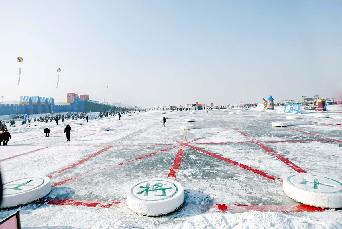 2004年1月13日,象棋特级大师赵国荣,许银川在沈阳进行了一场别开生面