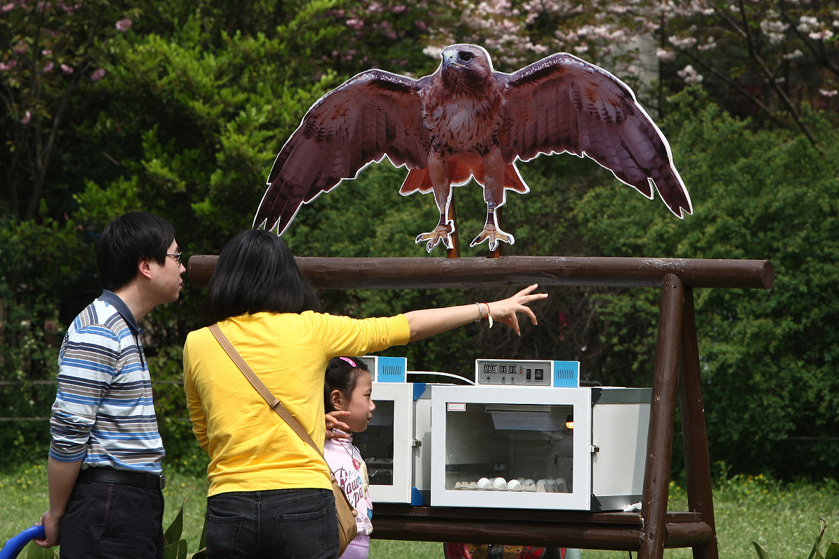 我是说我想把办在市中医院的特病直接在市六院办理转到市六院行吗