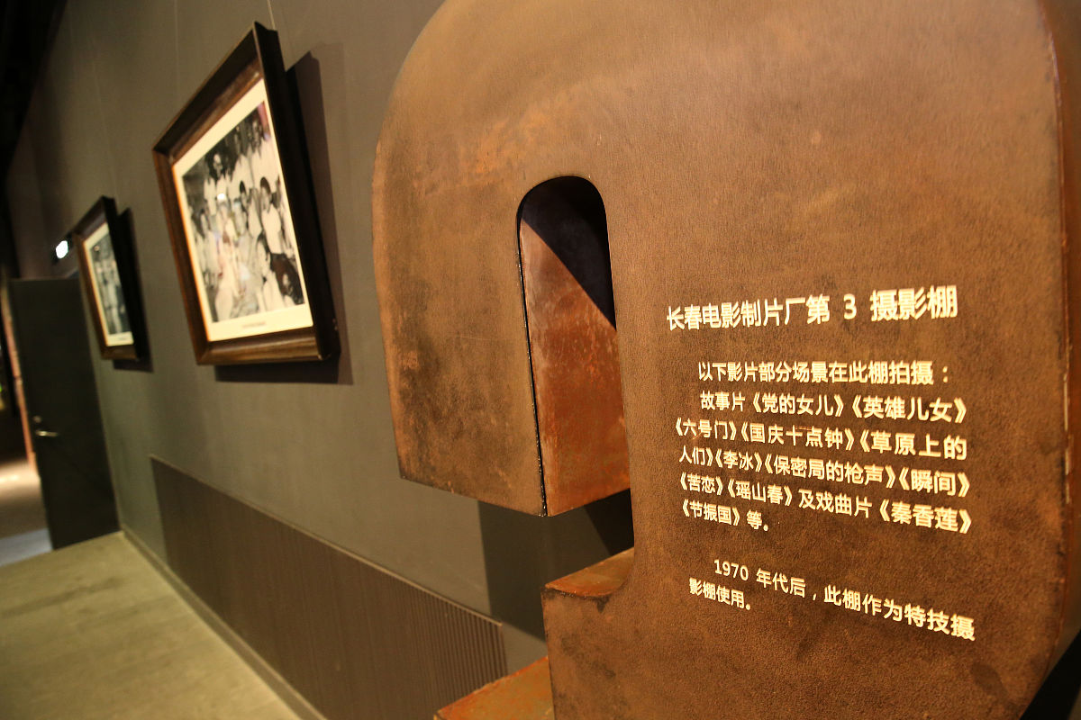 1200字关于用镜头记录人类文化与历史