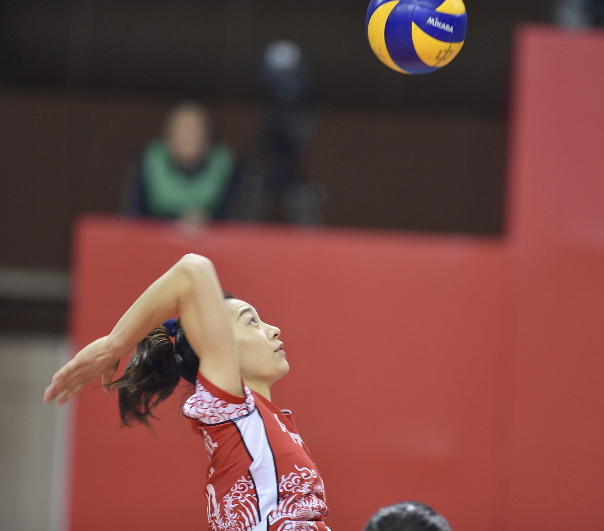 铁观音的发现之旅：探秘千年茶香