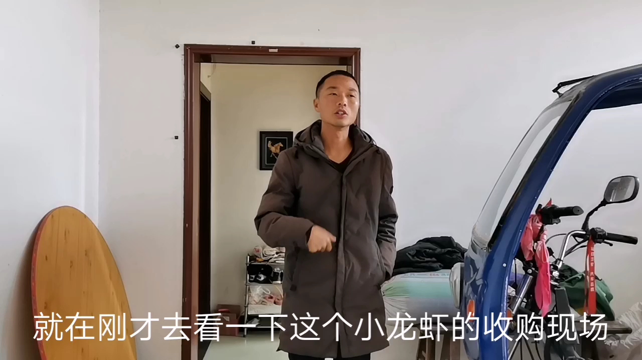 养殖小龙虾挣钱吗,看看年底小龙虾的价格,多少钱一斤呢