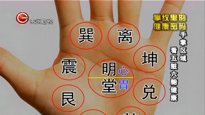 [图]《养生》手诊能看出来这么多病症？专家：手上多个点提示中风