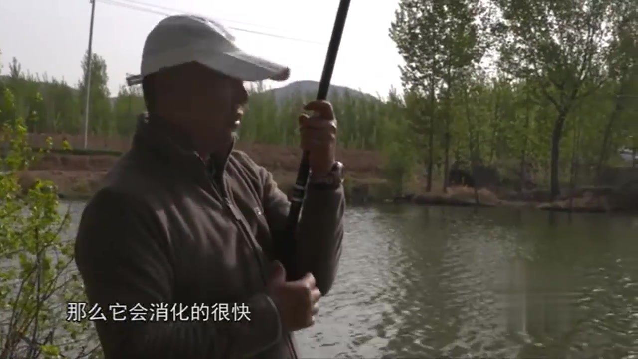 小崔水库擒巨青 讲的都是钓青鱼的干货