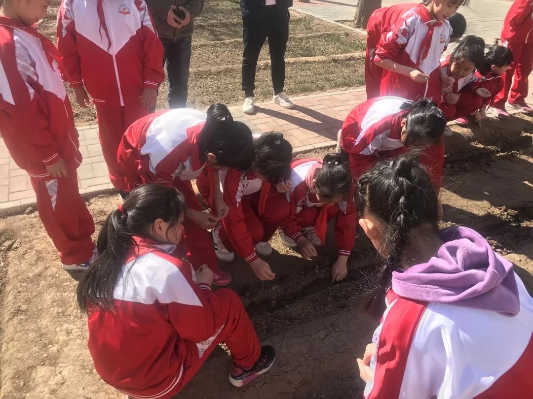 漷县镇中心小学红领巾实践基地体验农耕播种