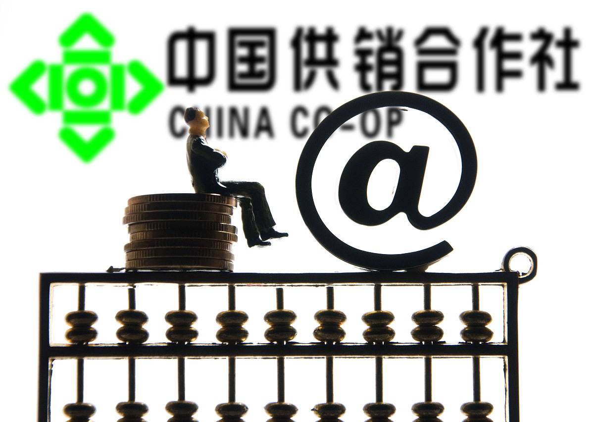 大理地区供销社线下商业项目运营策划方案：从市场调研到团队建设