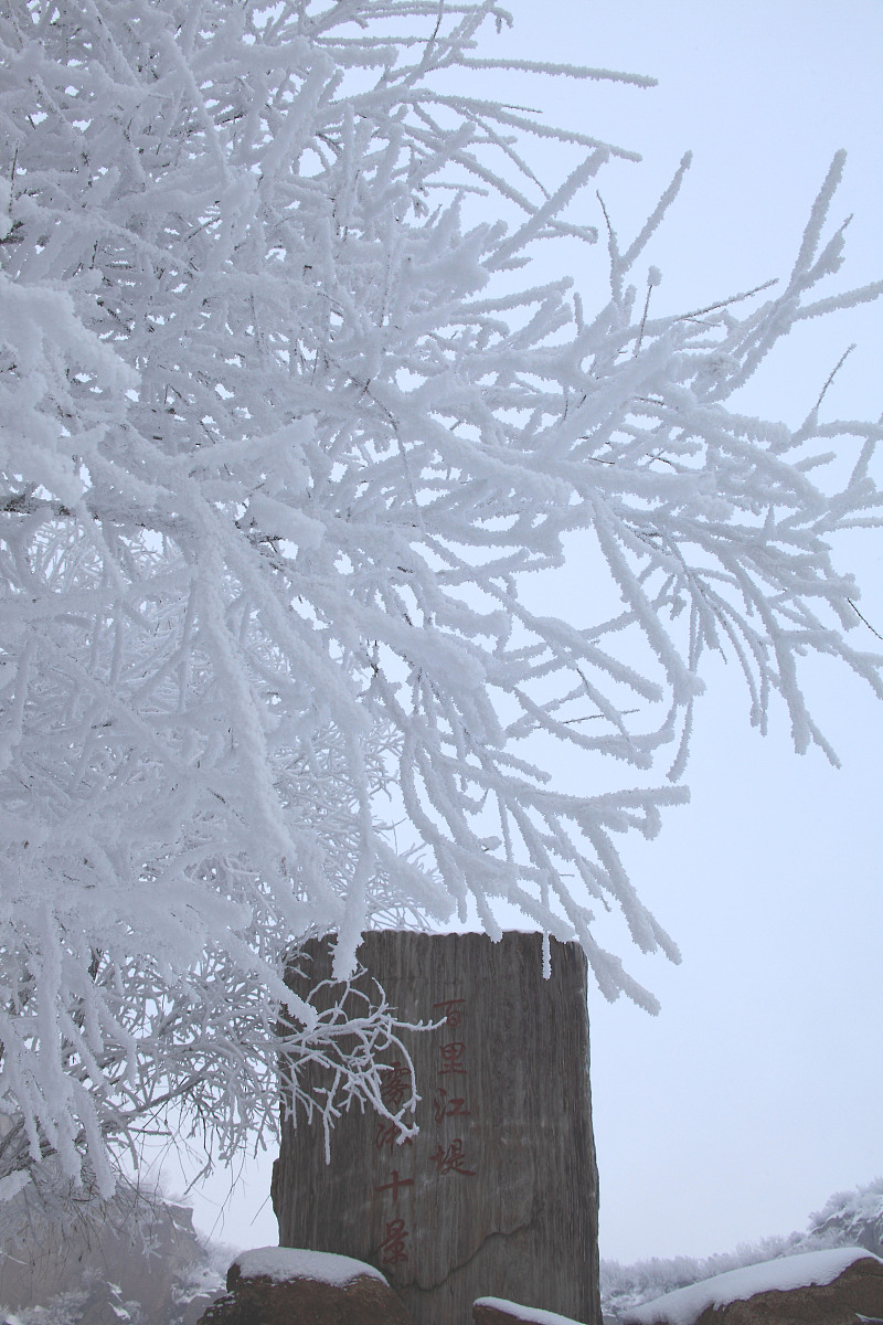 拳皇98快速跳跃技巧：实战指南