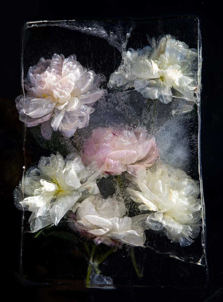 请用无厘头极度夸张手法写500字我没有女朋友我没有女朋友这是一个让我感到无比悲伤的事实。我每天都在想着如何能够在这个世界上找到一个与我心灵相通的人但是每次我想到这个问题我的脑海里就会浮现出一只巨大的、长着三个头的怪兽。这个怪兽的每个头都长着一双红色的眼睛它们不停地盯着我仿佛在嘲笑我没有女朋友这个可悲的事实。我曾经尝试过很多方法来解决这个问题。我去了很多派对和社交场合但是每次都只是一个人孤独地站在角